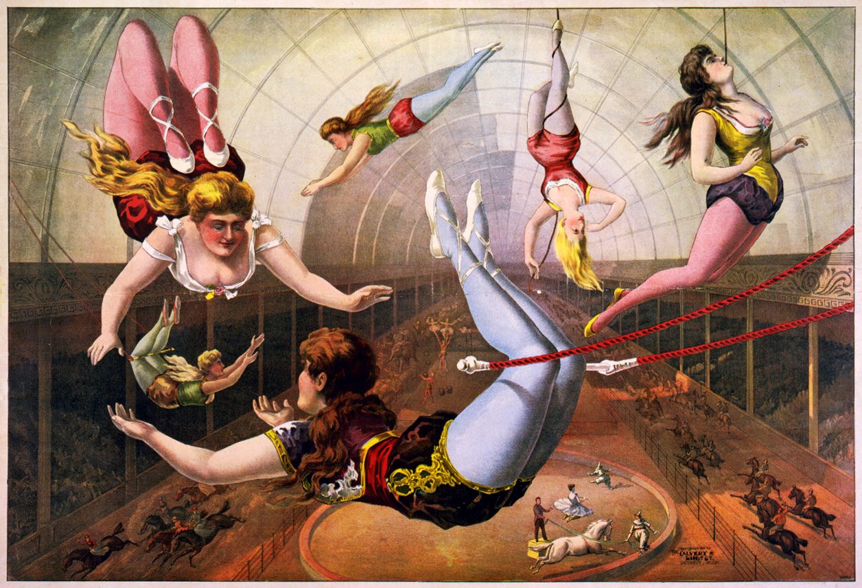 Job: Strategic Program Director - Youth & Circus Arts